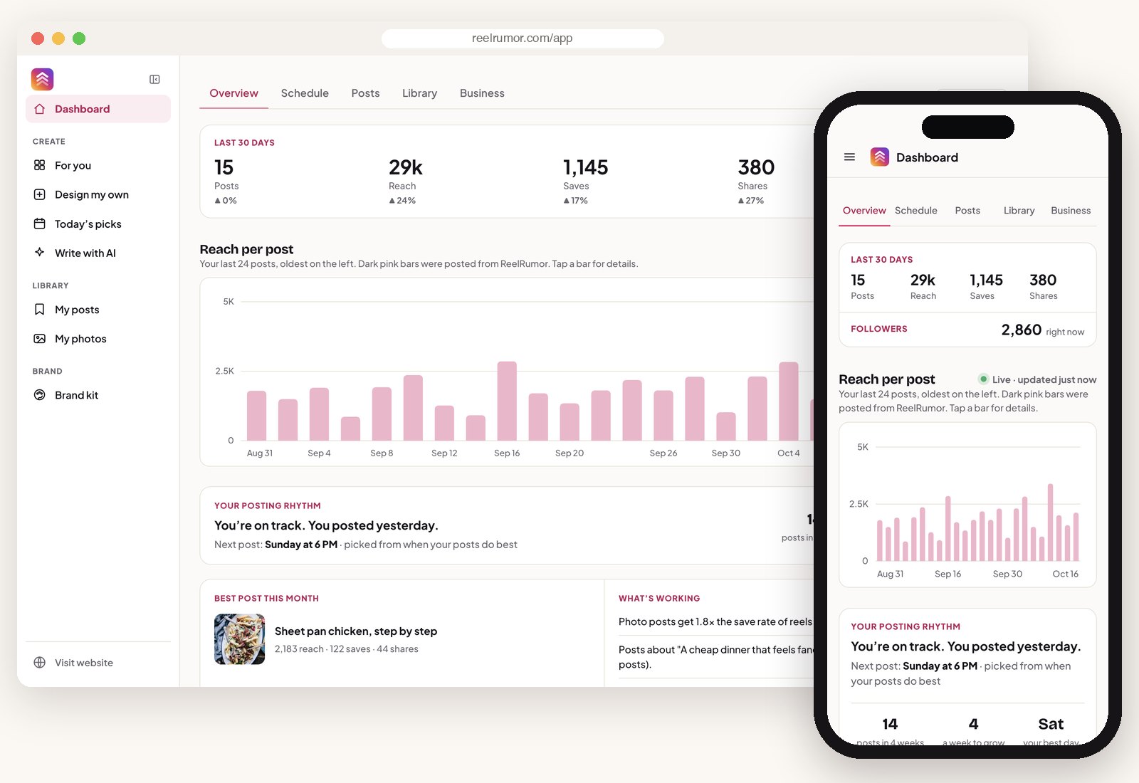 The ReelRumor dashboard with reach per post and posting rhythm